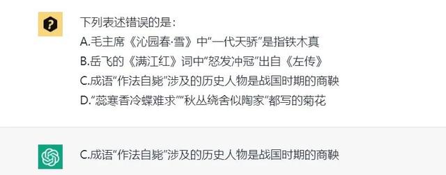 chatcraft_pro_破解版,chatcraft_pro_破解版iOS版