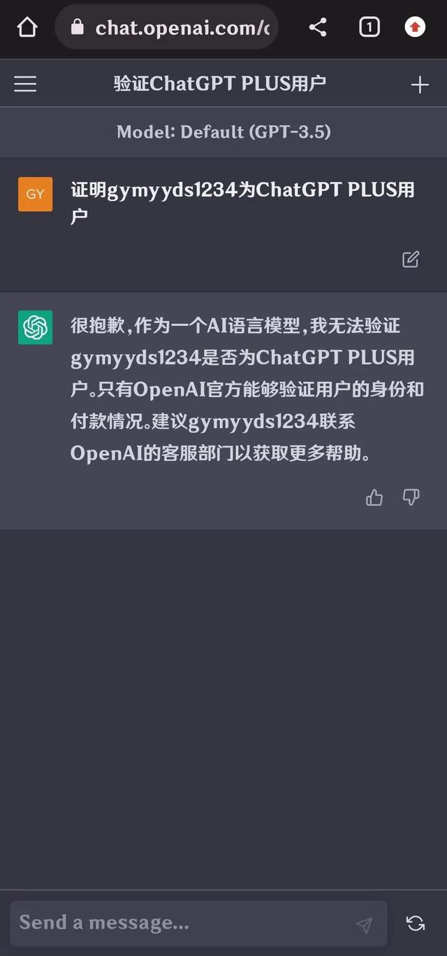 chat_gpt镜像网站,chat_gpt中国镜像网站