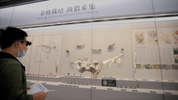 真三AI地图,真三ai地图_专属版