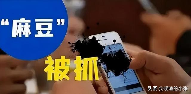 potato破解版软件,potato_chat最新版下载