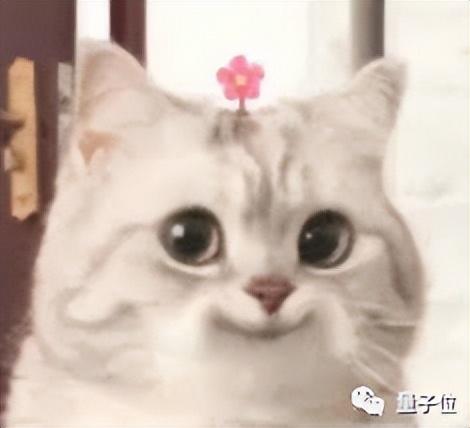 苹果手机怎么安装ChatGPT,手机怎么安装chat_gpt