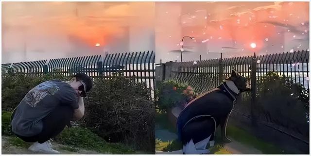触手ai绘画软件下载官网,触手ai绘画软件下载苹果