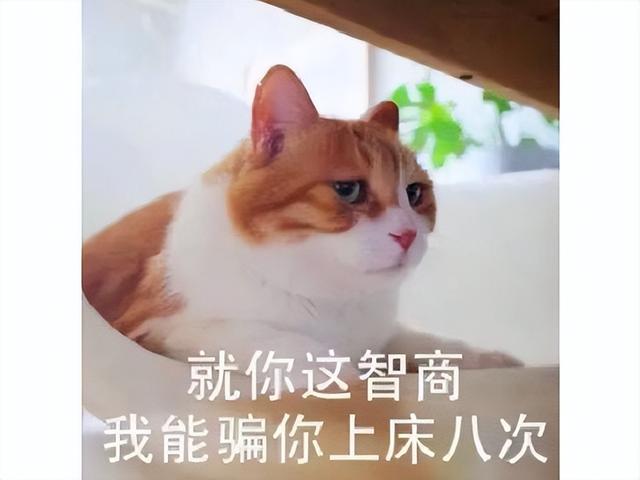949爱情含义,946爱情含义