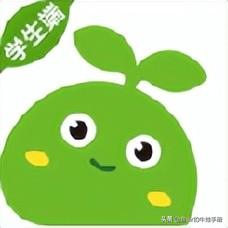 斑马ai课电脑版怎么下载,斑马ai课客服电话