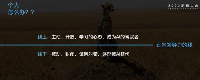 chatgpt,手机必应chatGPT入口